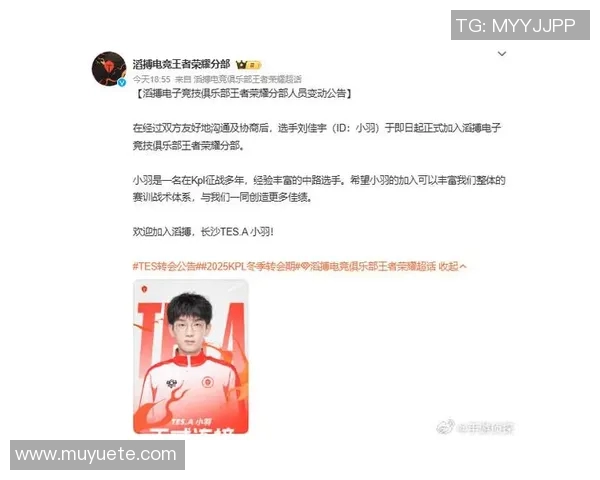 2020年TES与DWG对决回顾分析及其对电竞发展的影响